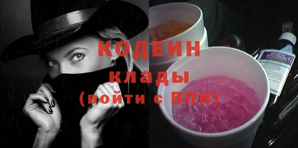 молекула духа Новодвинск