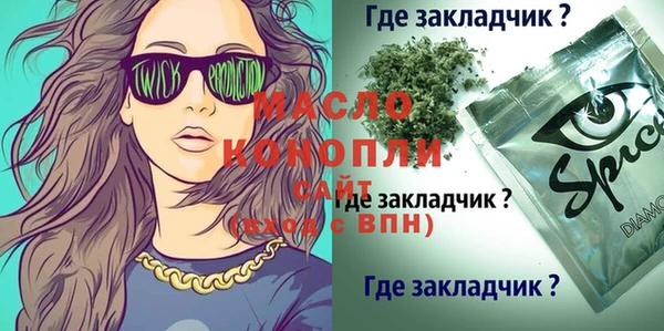 молекула духа Новодвинск