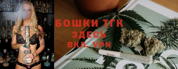 молекула духа Новодвинск