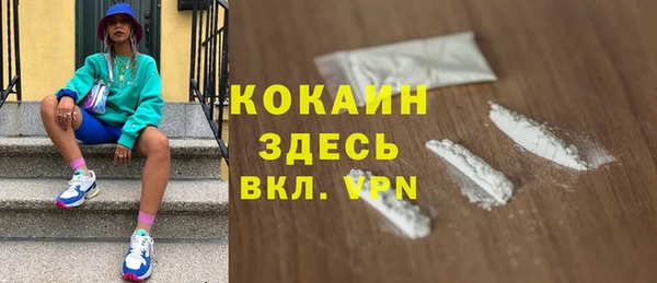 молекула духа Новодвинск